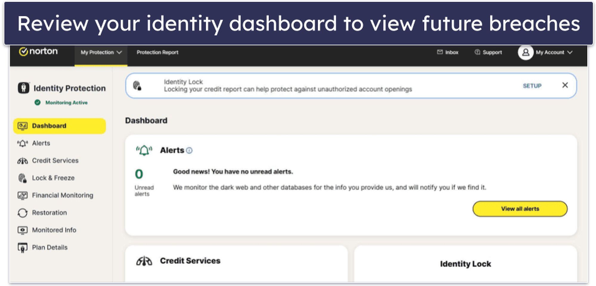 rubhabha what-is-a-dark-web-scan-10