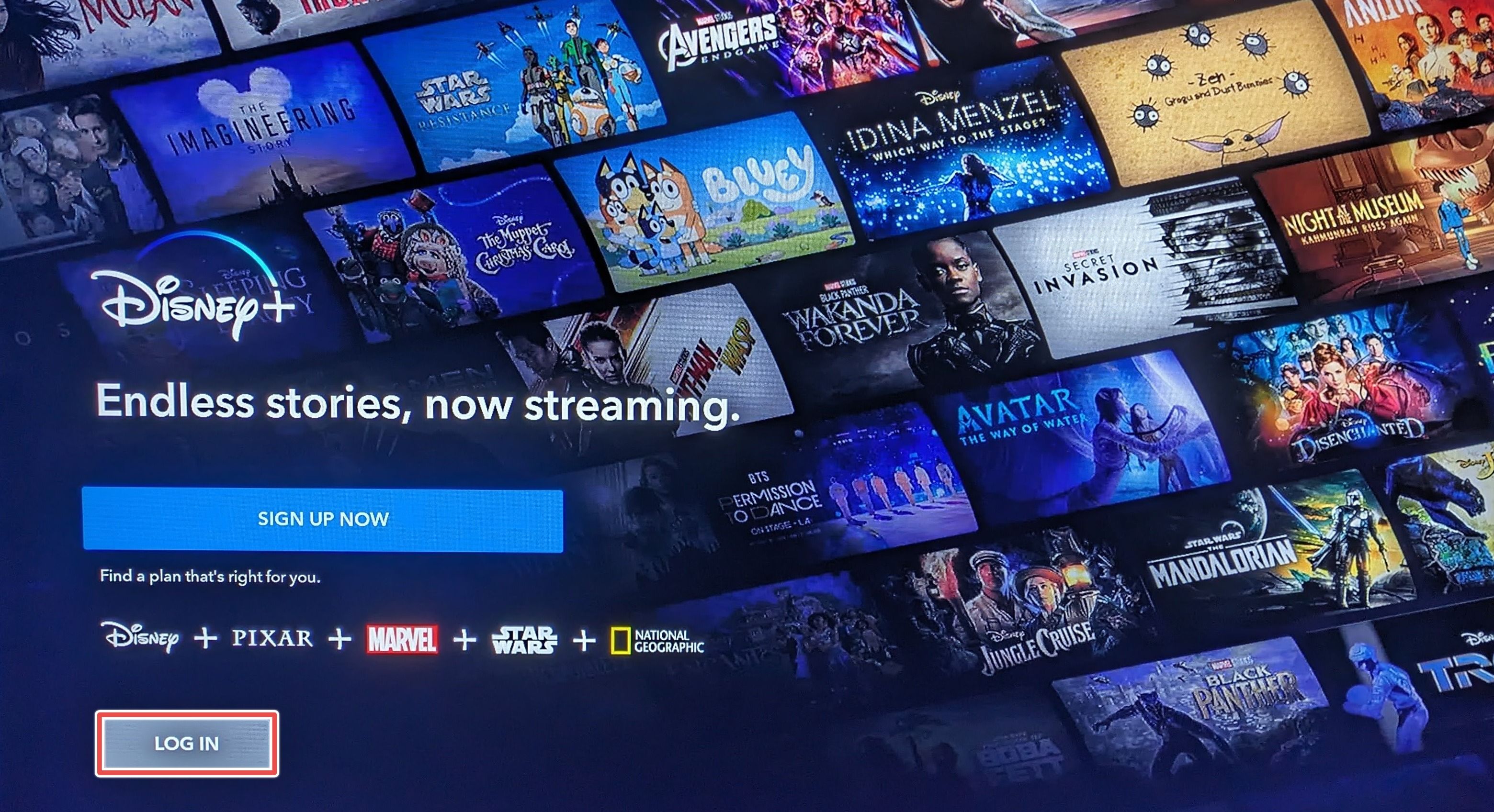 The log in button highlighted on the Disney Plus Roku channel