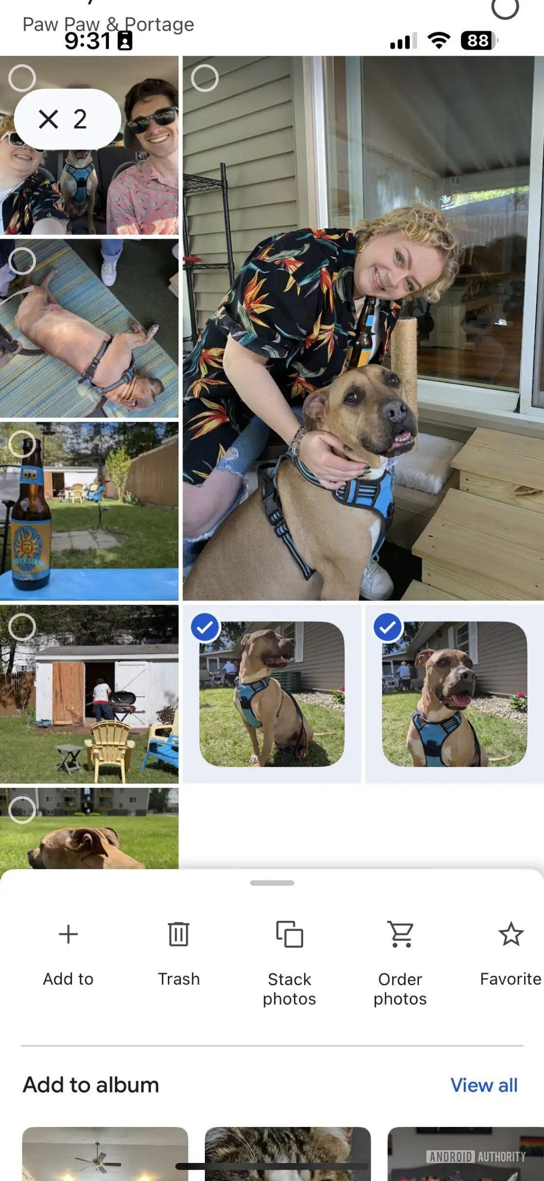 A screenshot of photo stacks in Google Photos for iOS.