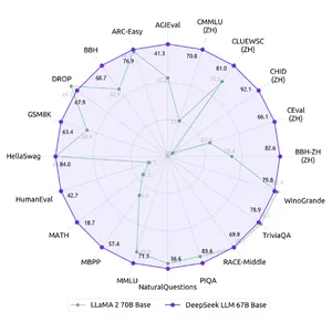 DeepSeek LLM | Large Language Model