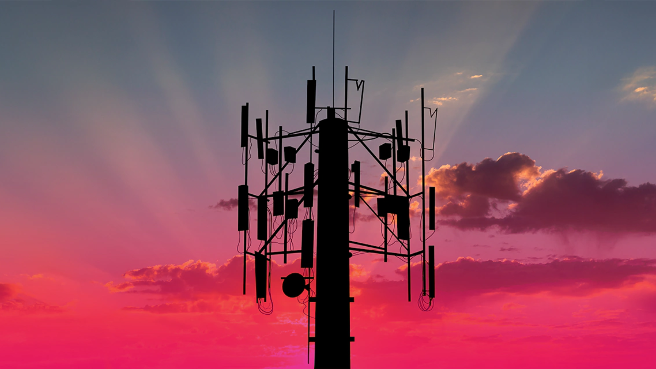 T-Mobile antenna with magenta background