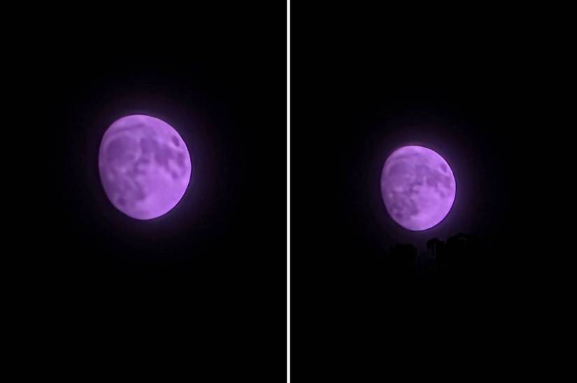 Adobe Illustrator's Generative Recolor AI tool can design and transform colors and themes in an image.