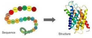 AlphaFold: Pioneering Protein Structure Prediction