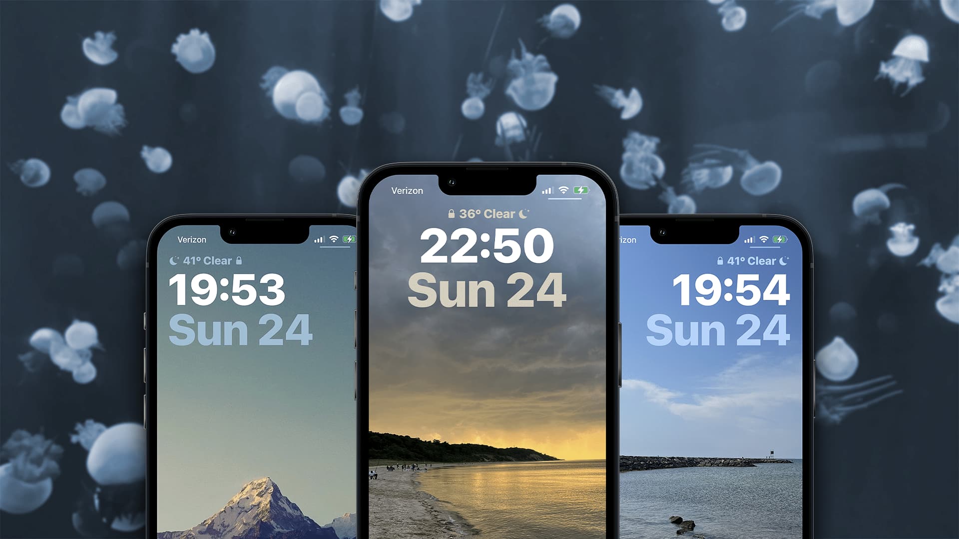 Jellyfish Reborn banner.