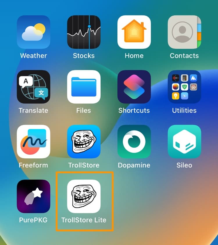 Launch TrollStore Lite from the Home Screen.
