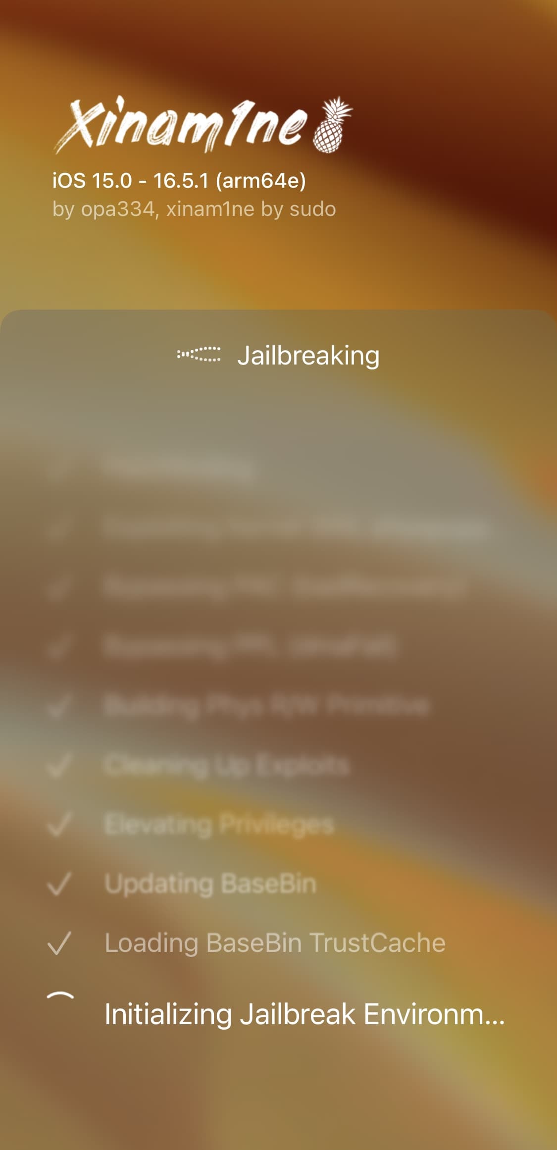 Xinam1ne jailbreak process.