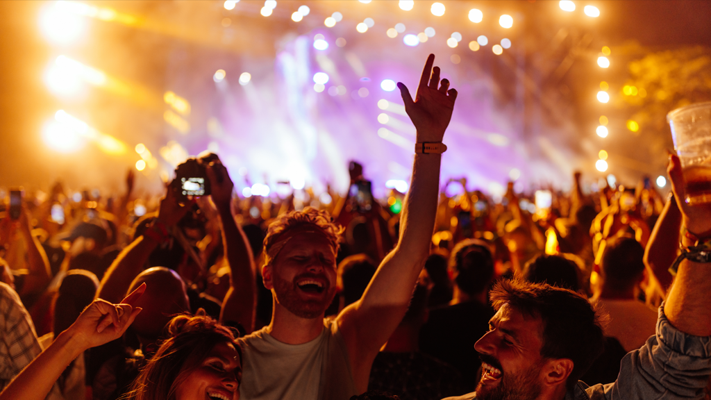 People at a concert being happy 