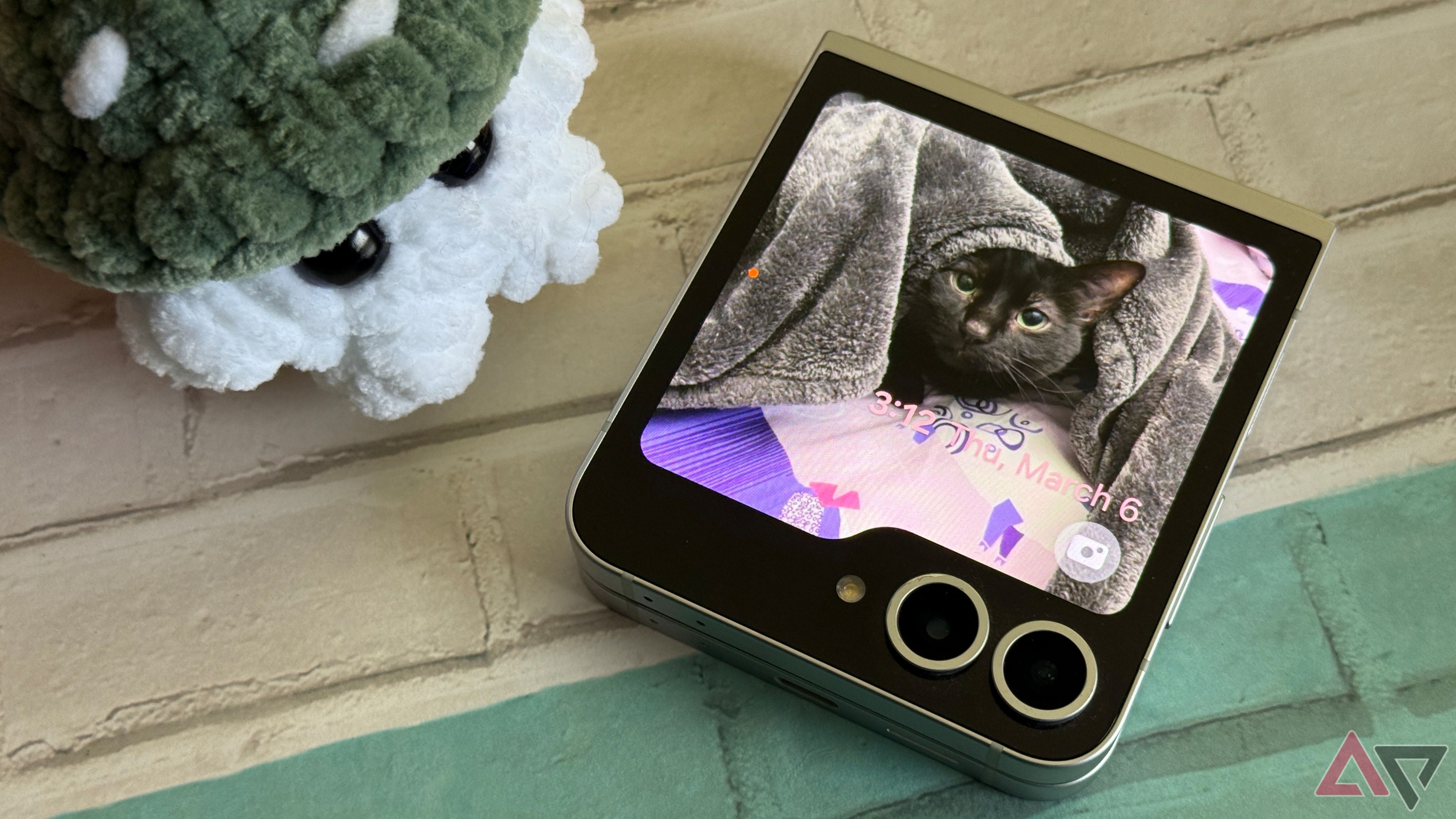Samsung Galaxy Z Flip 6 showing a black cat on outer screen