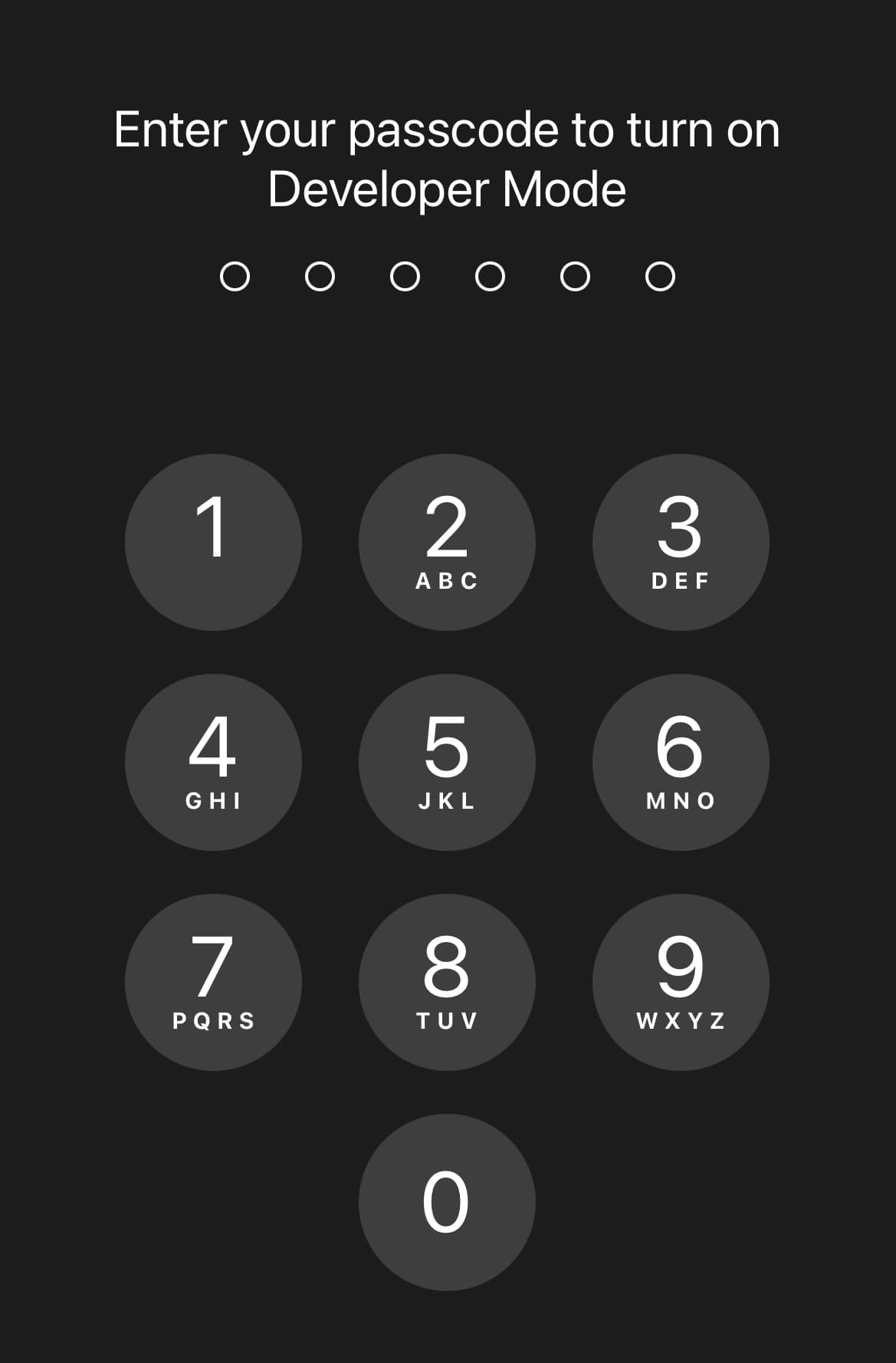 Enter passcode to enable developer mode.