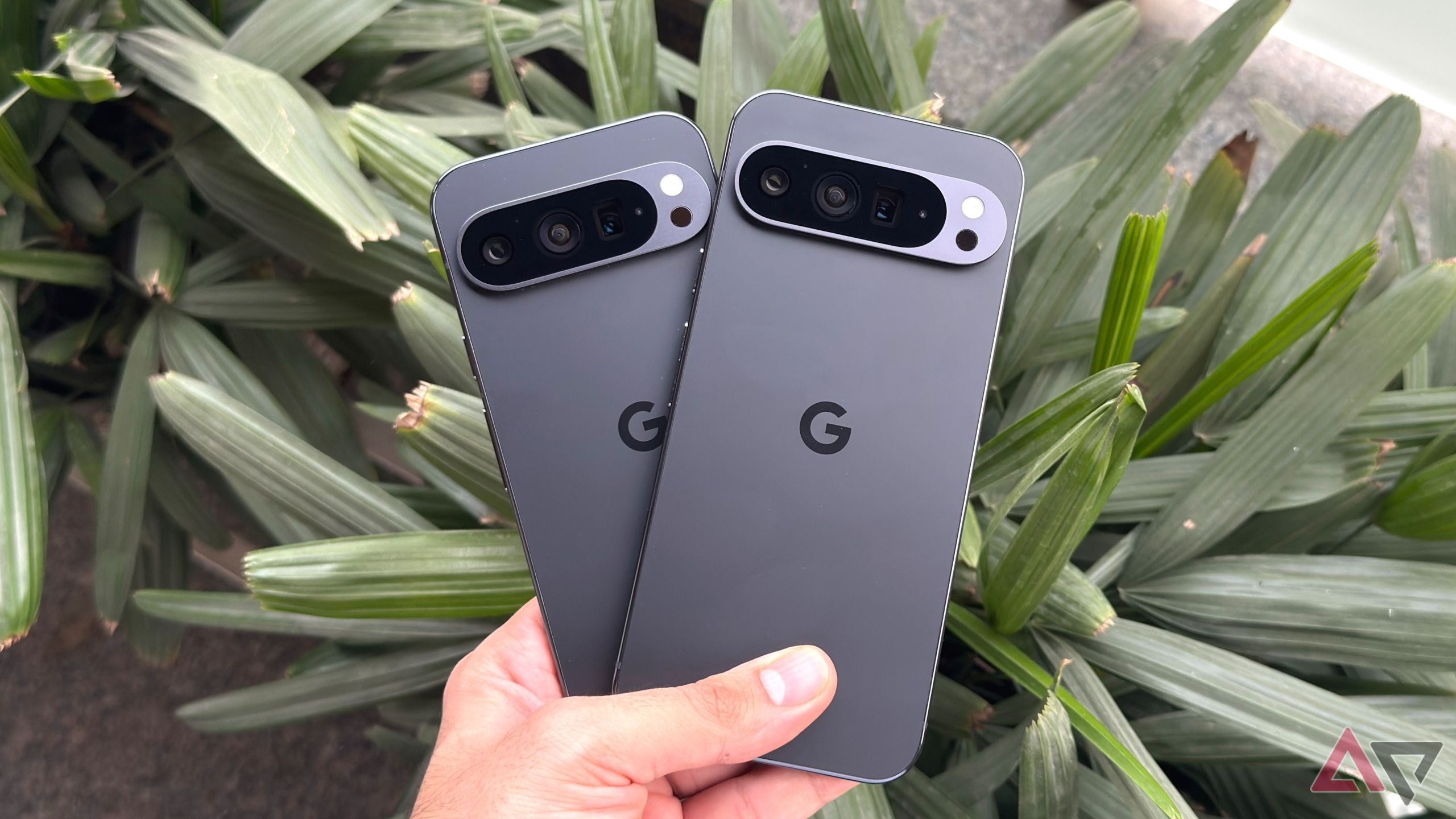 Two grey Pixel 9 Pro phones being held in a man's hand with green plants in the background.