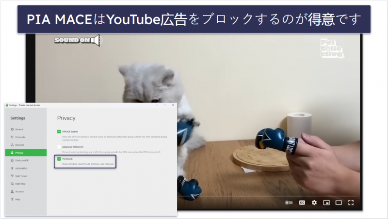 🥈2. Private Internet Access：優秀な広告ブロッカーを搭載
