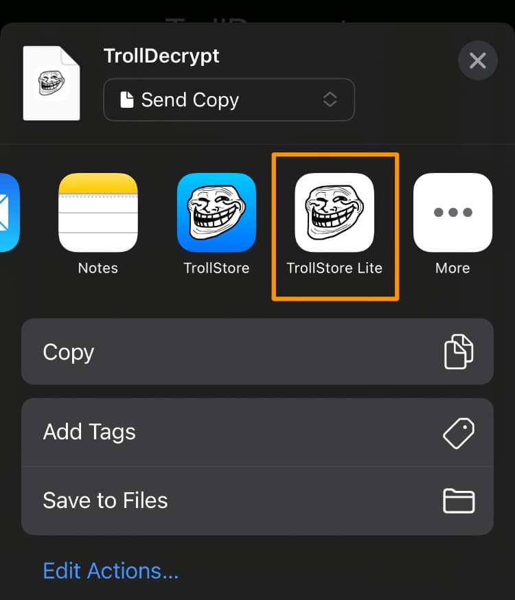 Tap TrollStore Lite from the Share Sheet.