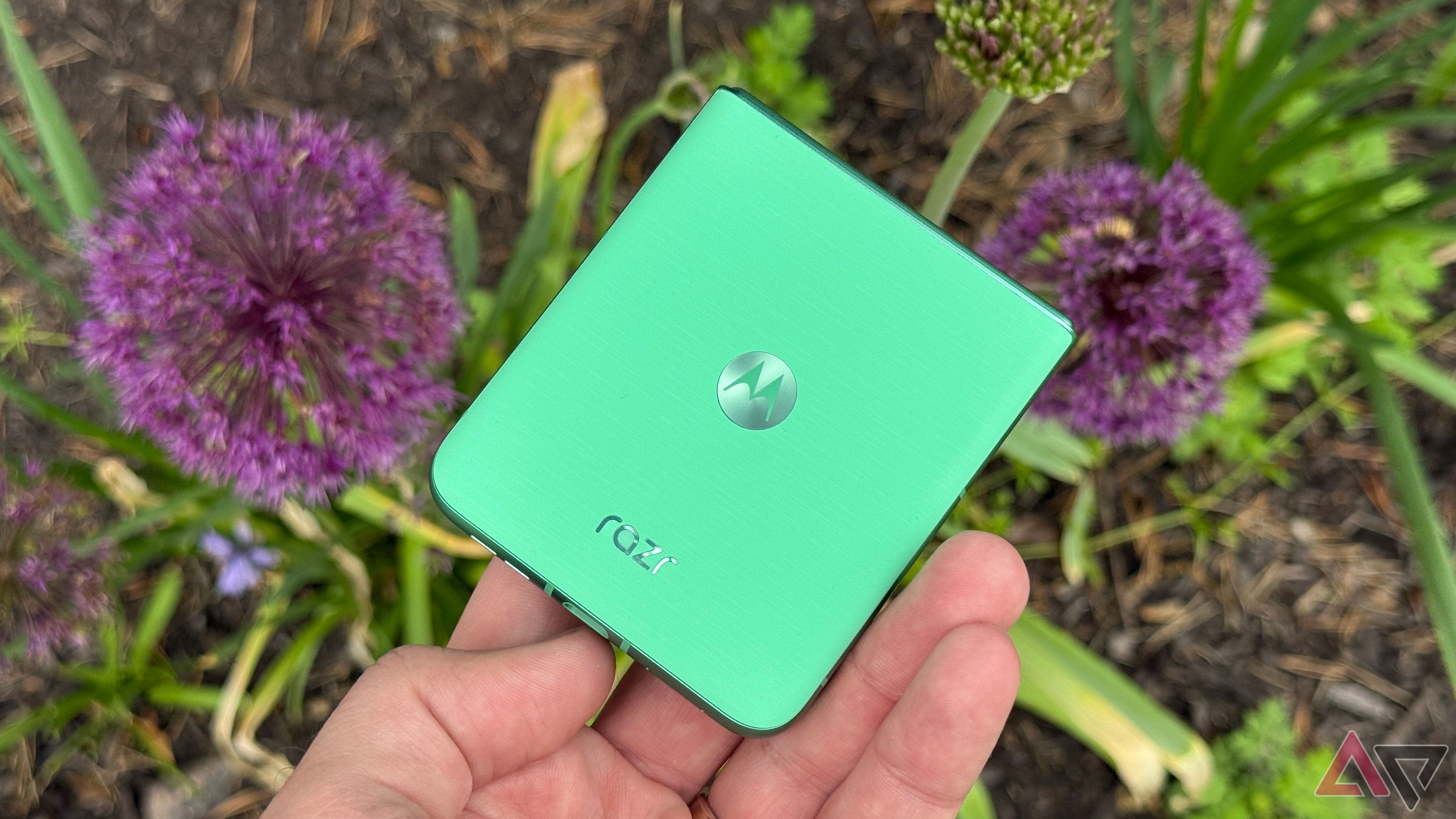 Motorola Razr 2025 in Spring Bud against a flower bed