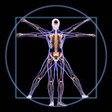 Synthesia Research releases – HumanRF, a 4D dynamic neural scene representation that captures full-body appearance in motion from multi-view video input | technology