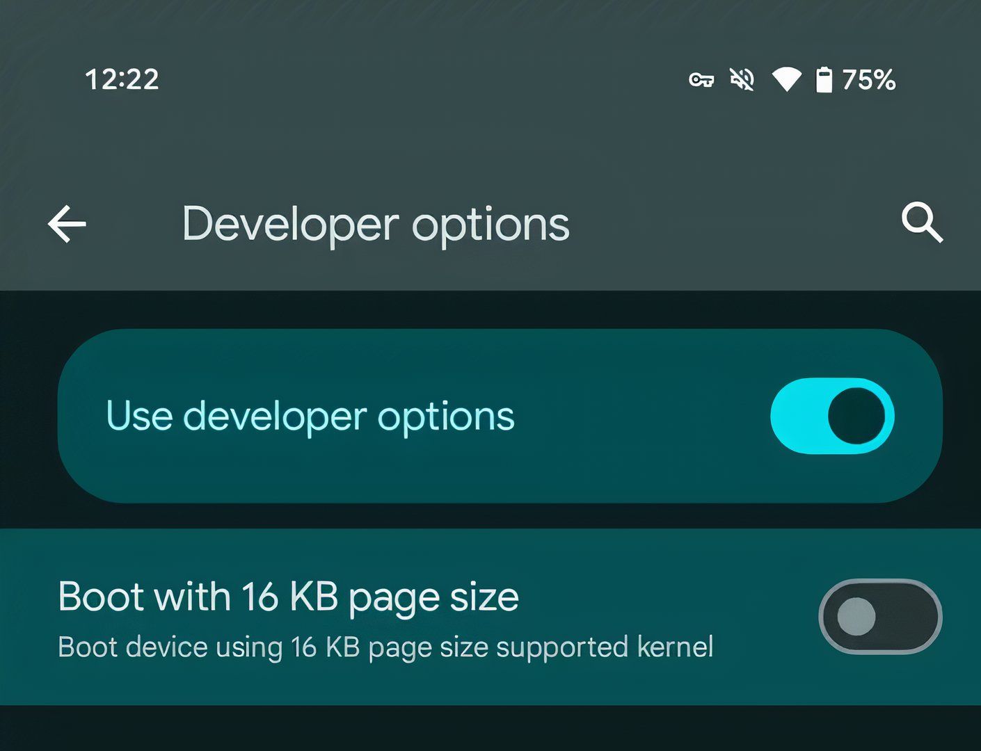 A screenshot of the developer options menu in Android with an option to Boot with 16 KB page size. 
