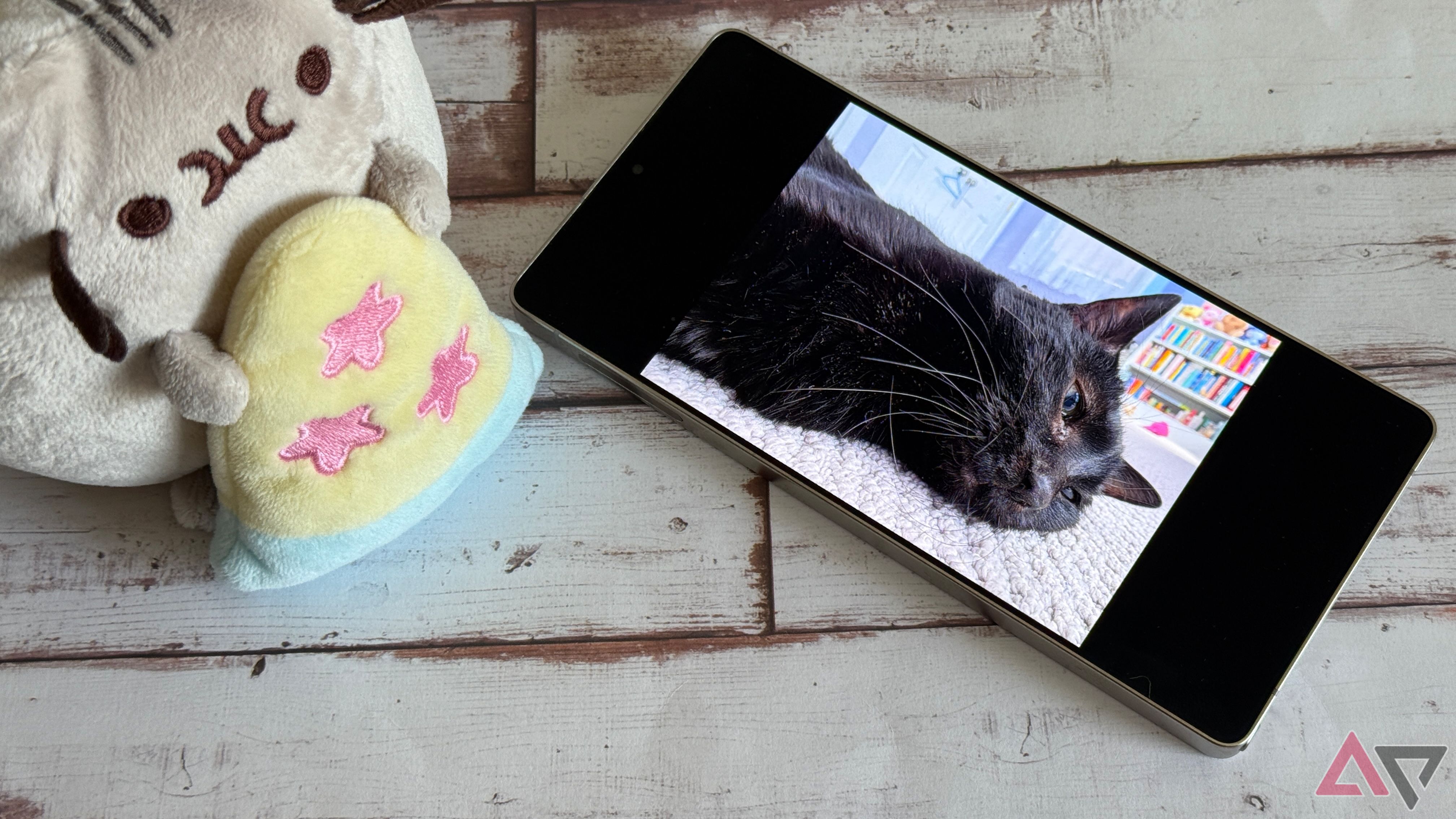 Samsung Galaxy S25 Ultra displaying a photo of Xavi, the best black cat