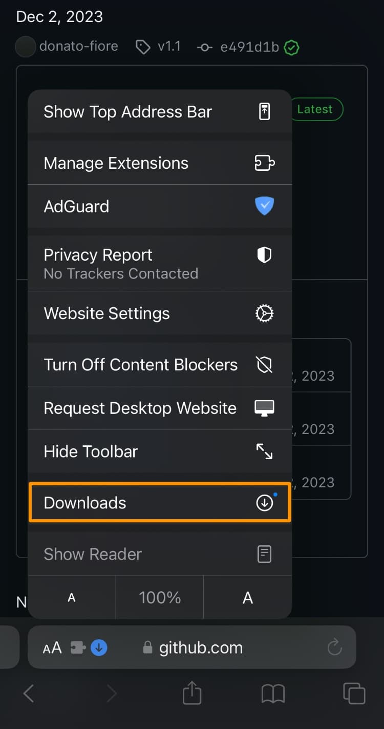 Tap Downloads in Menu for TrollStore Lite.