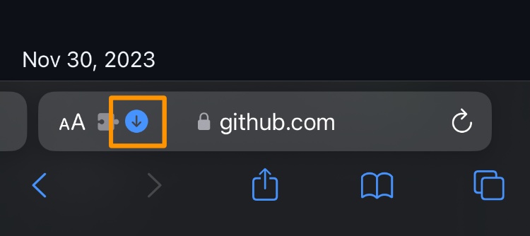 TrollStore Lite Safari Downloads button URL bar.