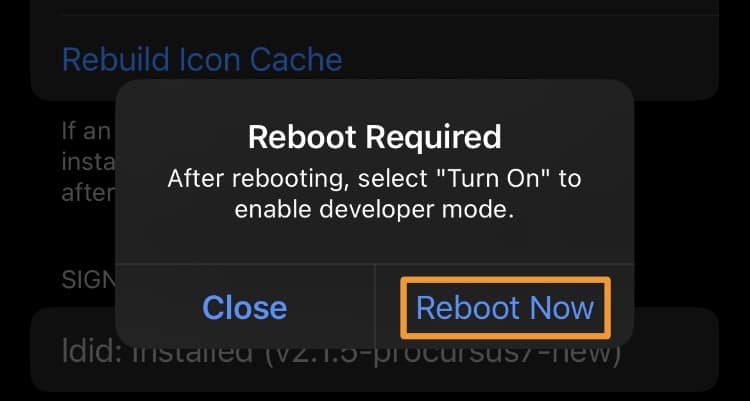 TrollStore Reboot Now.