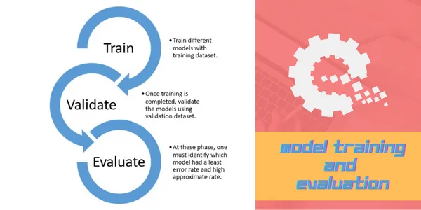 Model Training and Evaluation